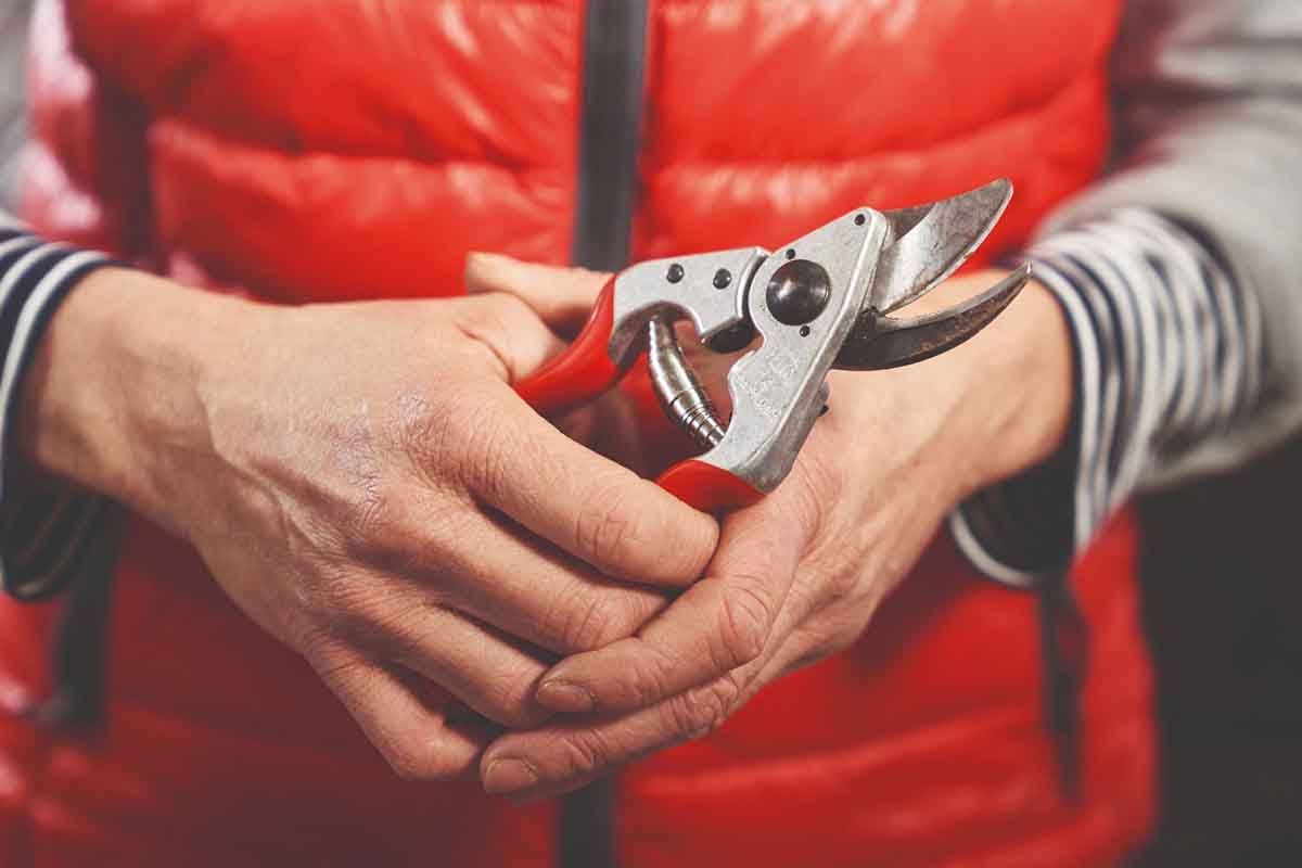 FELCO Pruner Buyer's Guide Gemplers